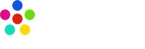 A-Vision software development